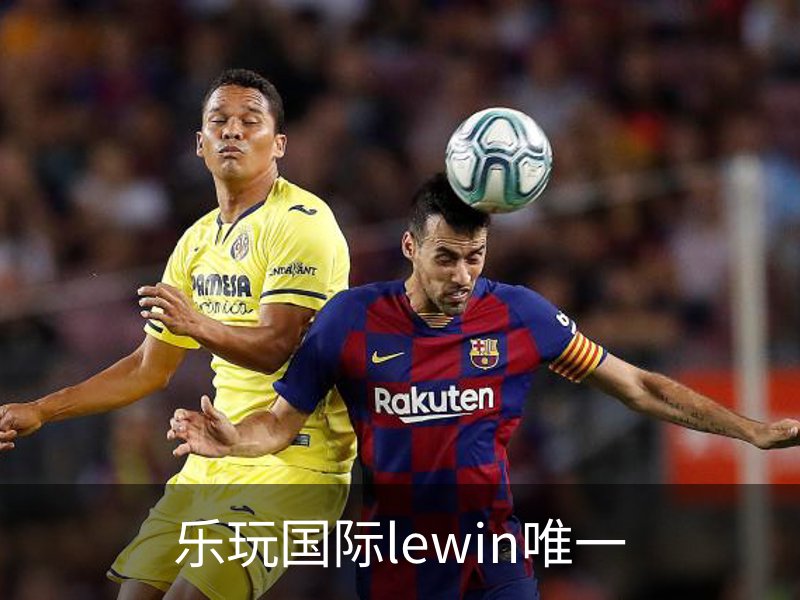 乐玩国际lewin唯一介绍